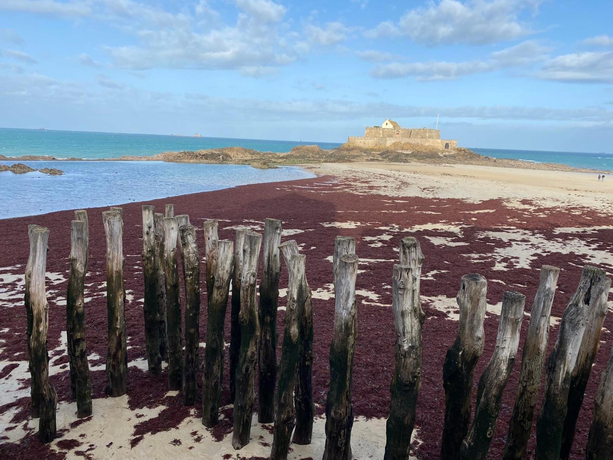 Maison Baie Du Mont Saint-Michel Cherrueix Zewnętrze zdjęcie